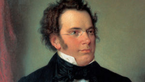 Schubert vocal cycles